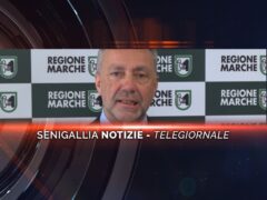 senigallia notizie telegiornale