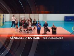 senigallia notizie telegiornale