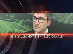 senigallia notizie telegiornale