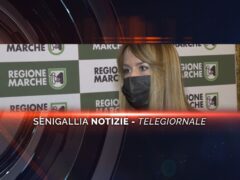 senigallia notizie telegiornale