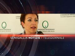 senigallia notizie telegiornale