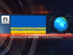 senigallia notizie telegiornale