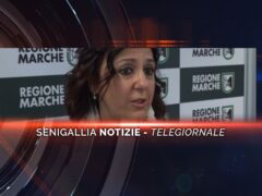 senigallia notizie telegiornale