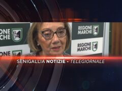 senigallia notizie telegiornale