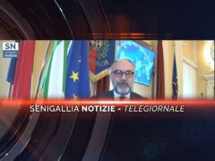 senigallia notizie telegiornale