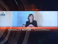 senigallia notizie telegiornale