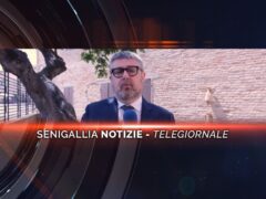 senigallia notizie telegiornale