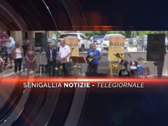 senigallia notizie telegiornale