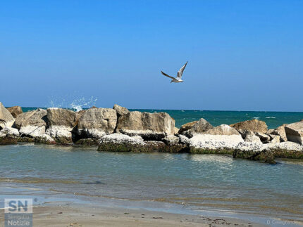 Volo sugli scogli - Foto di Denise Casagrande