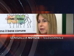 senigallia notizie telegiornale