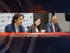 senigallia notizie telegiornale