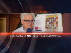 senigallia notizie telegiornale