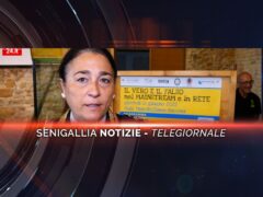 senigallia notizie telegiornale