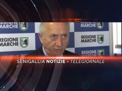 senigallia notizie telegiornale