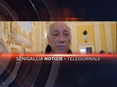 senigallia notizie telegiornale