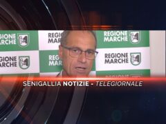 senigallia notizie telegiornale