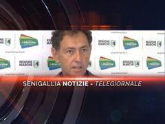 senigallia notizie telegiornale