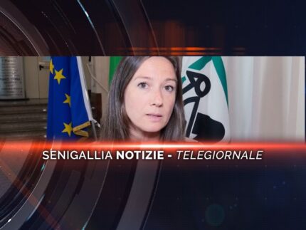 senigallia notizie telegiornale