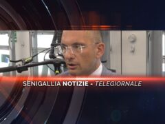 senigallia notizie telegiornale