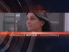 senigallia notizie telegiornale