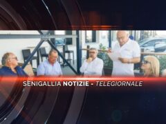 senigallia notizie telegiornale