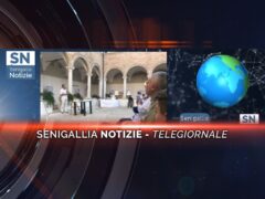 senigallia notizie telegiornale