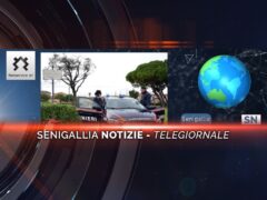 senigallia notizie telegiornale