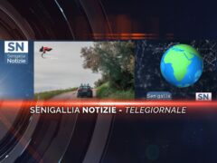 senigallia notizie telegiornale