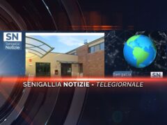 senigallia notizie telegiornale