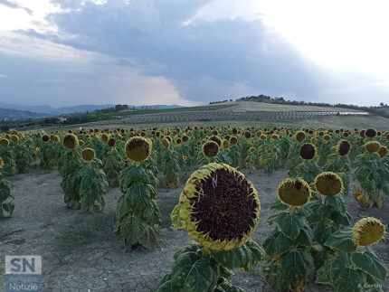 Mesti al tramonto dell'estate - Foto di Alberto Bertini