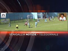 senigallia notizie telegiornale