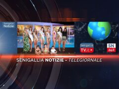 senigallia notizie telegiornale