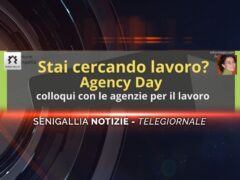 senigallia notizie telegiornale