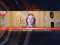 senigallia notizie telegiornale