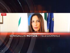 senigallia notizie telegiornale