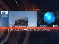 senigallia notizie telegiornale