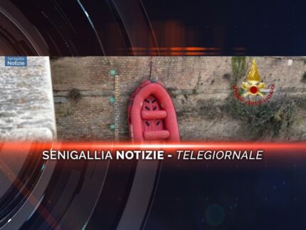 senigallia notizie telegiornale