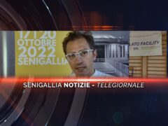 senigallia notizie telegiornale