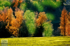 Autunno - Foto di Paolo Gresta