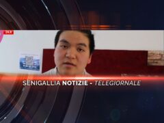 senigallia notizie telegiornale