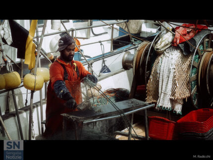 Un pescatore a Senigallia - Foto di Massimo Radicchi