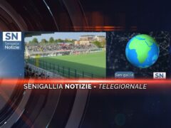 senigallia notizie telegiornale