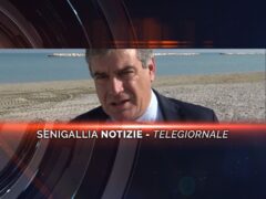 senigallia notizie telegiornale