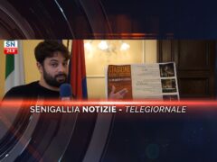 senigallia notizie telegiornale