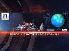 senigallia notizie telegiornale