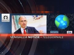 senigallia notizie telegiornale