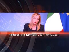 senigallia notizie telegiornale