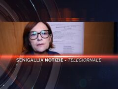 senigallia notizie telegiornale