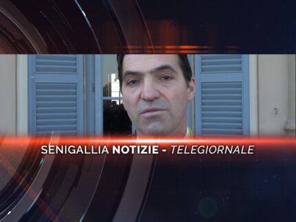 senigallia notizie telegiornale