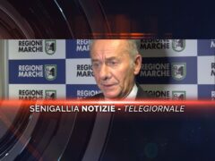 senigallia notizie telegiornale